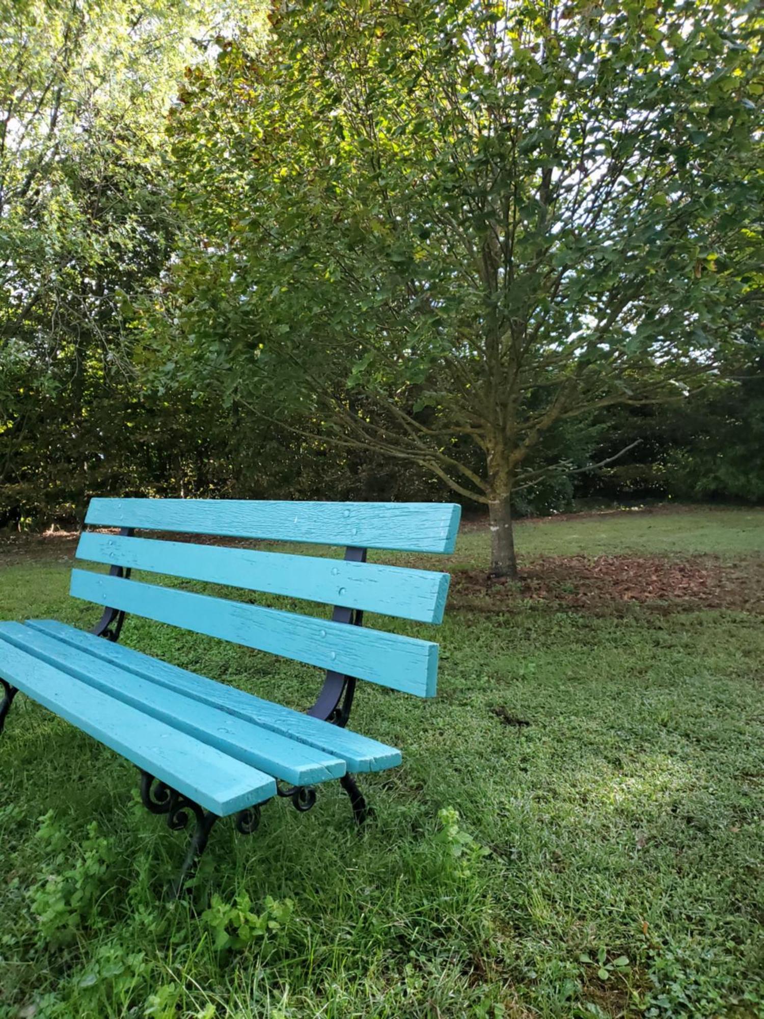 לינה וארוחת בוקר Gémozac Domaine De La Gemoliere מראה חיצוני תמונה