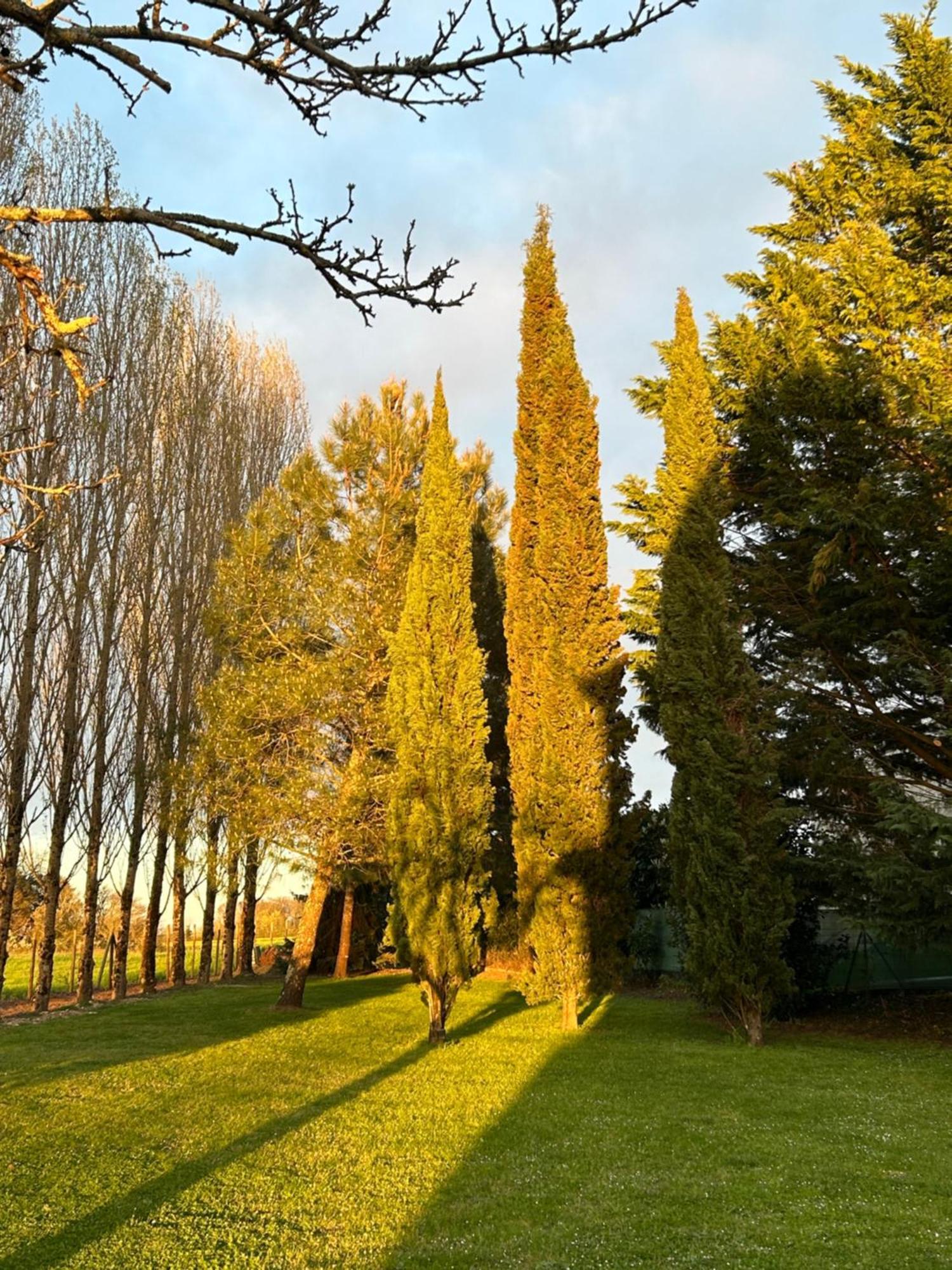 לינה וארוחת בוקר Gémozac Domaine De La Gemoliere מראה חיצוני תמונה